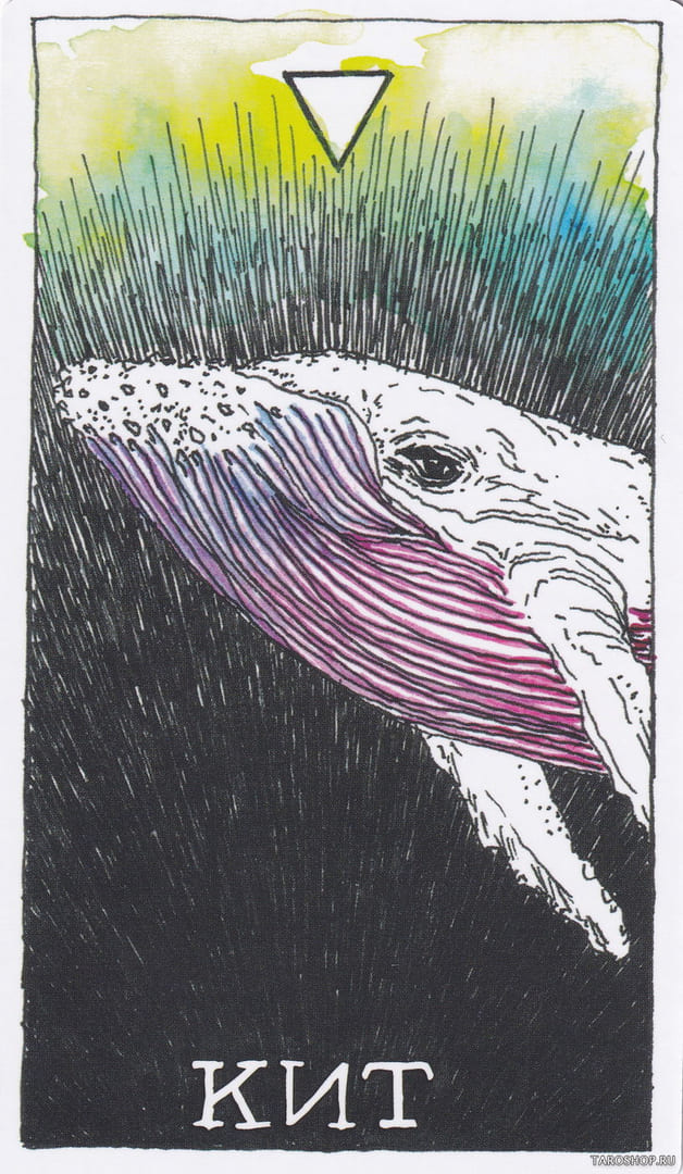 14 Кит (Вода)