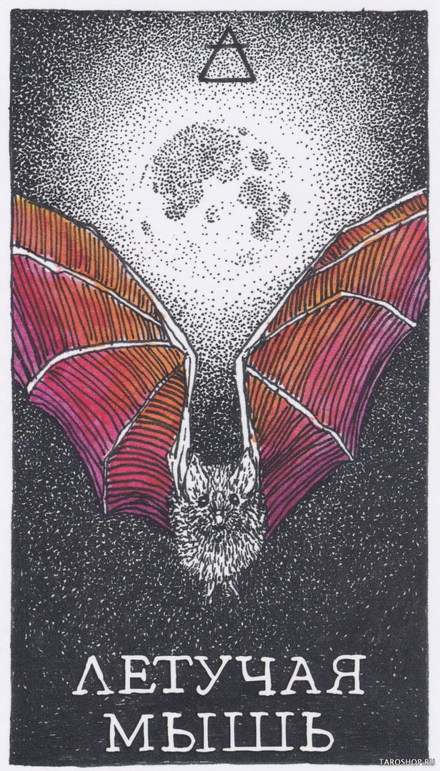 3 Летучая мышь (Воздух) — Дикое Неизвестное Тотемное Животное