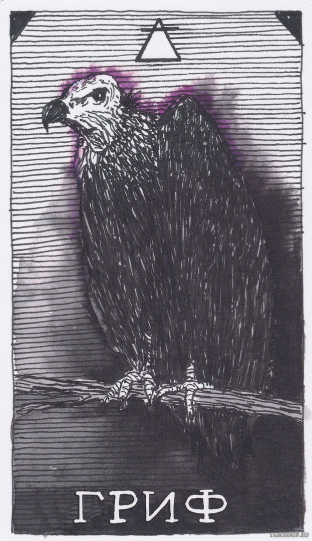 6 Стервятник (Воздух)