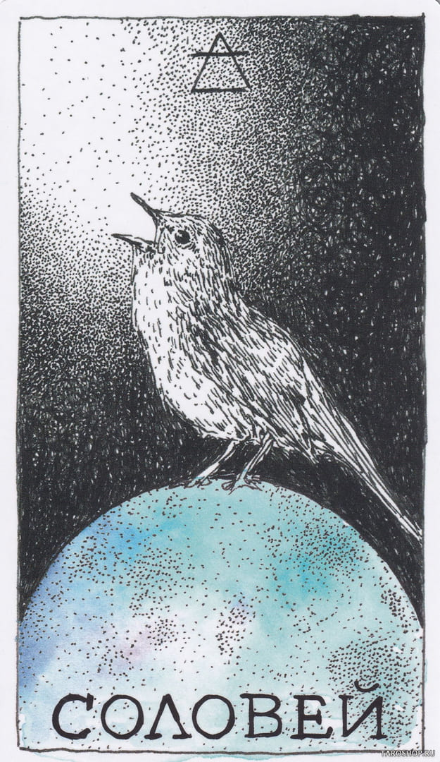 8 Соловей (Воздух) — Дикое Неизвестное Тотемное Животное