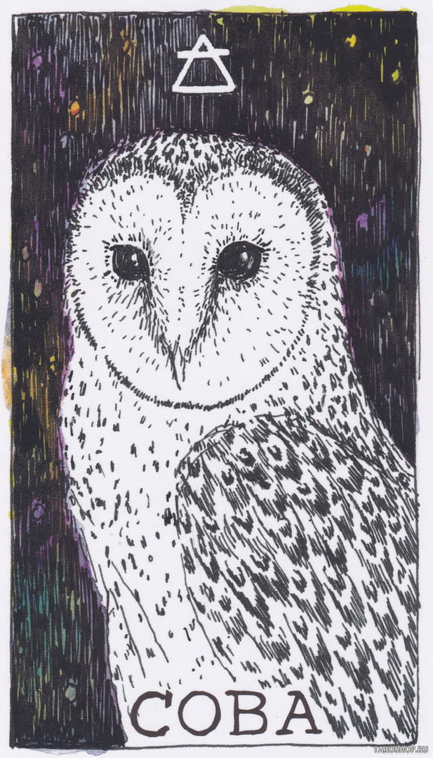 10 Сова (Воздух)