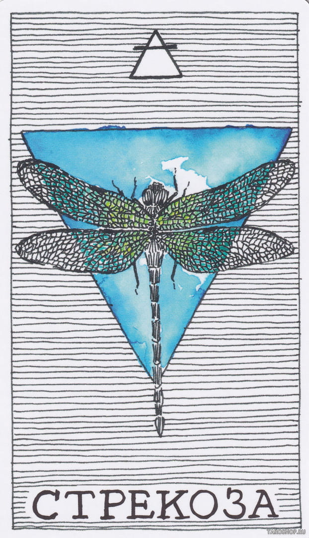 11 Стрекоза (Воздух)
