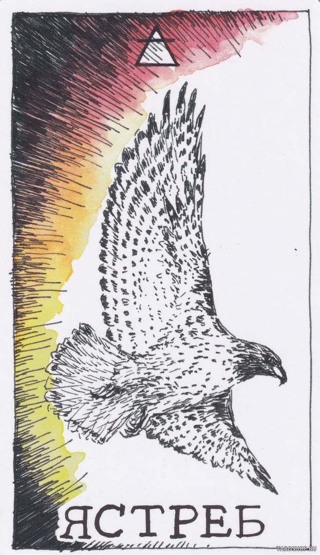 13 Ястреб (Воздух)