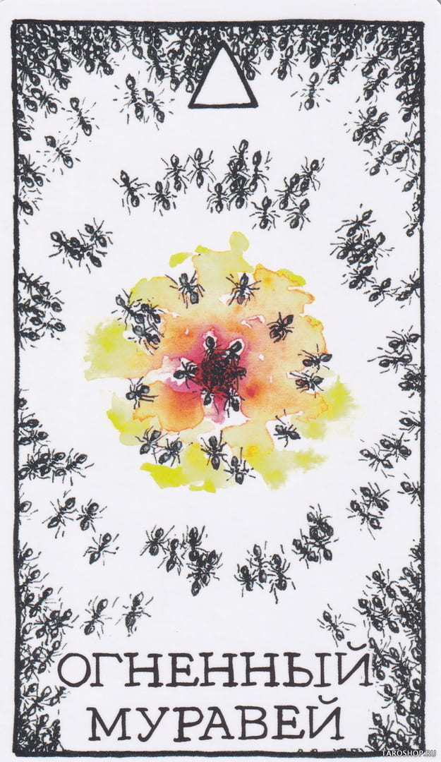 1 Огненный муравей (Огонь)