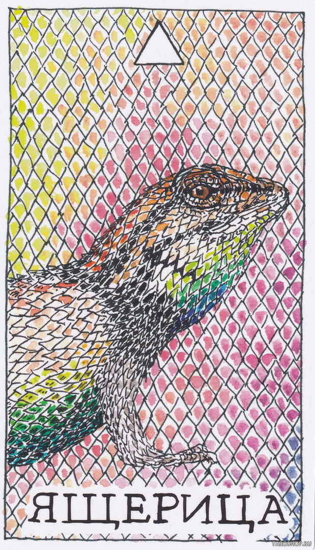 4 Ящерица (Огонь) — Дикое Неизвестное Тотемное Животное