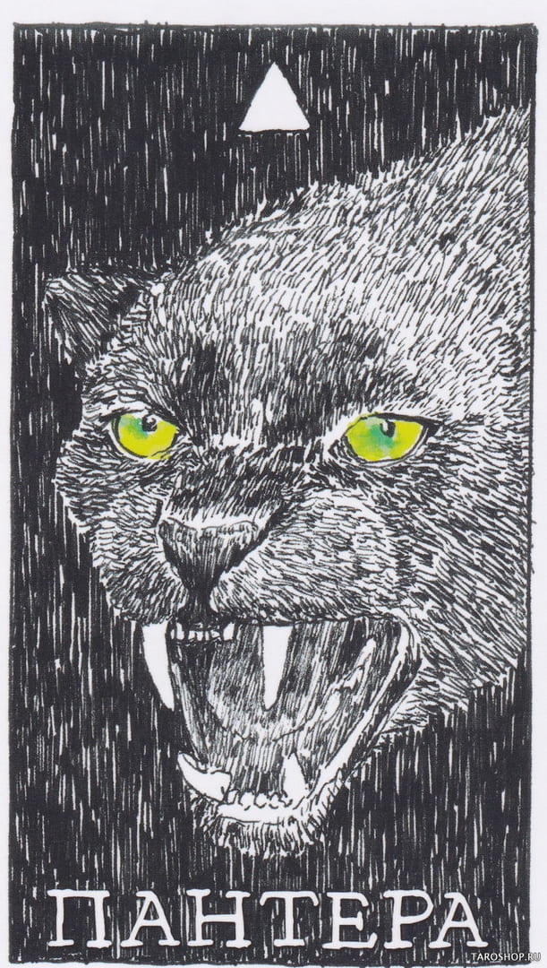 5 Пантера (Огонь)