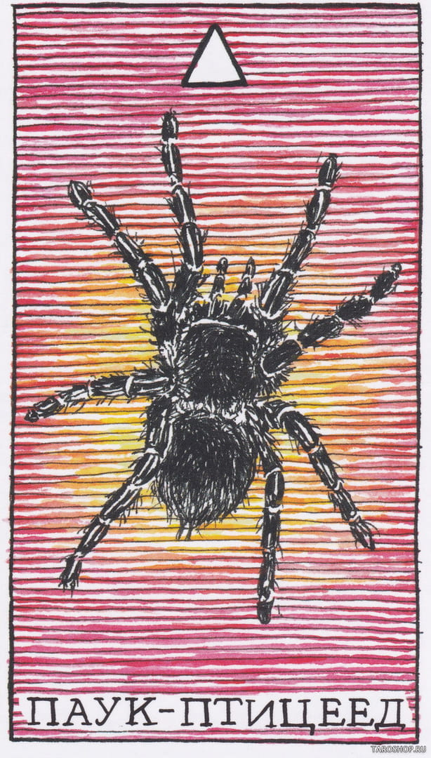 6 Тарантул (Огонь)