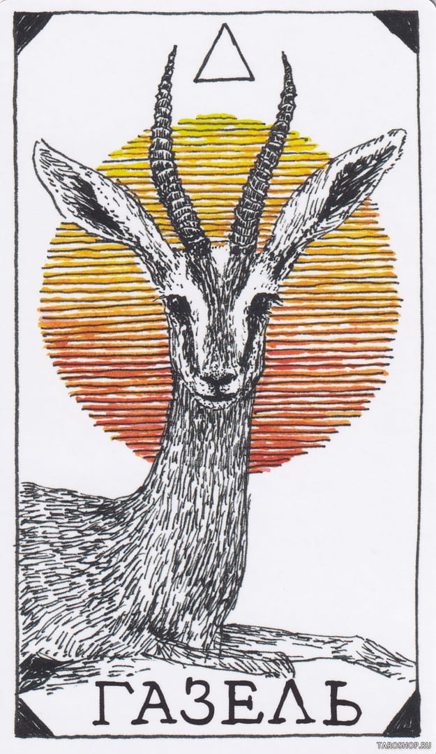 8 Газель (Огонь)