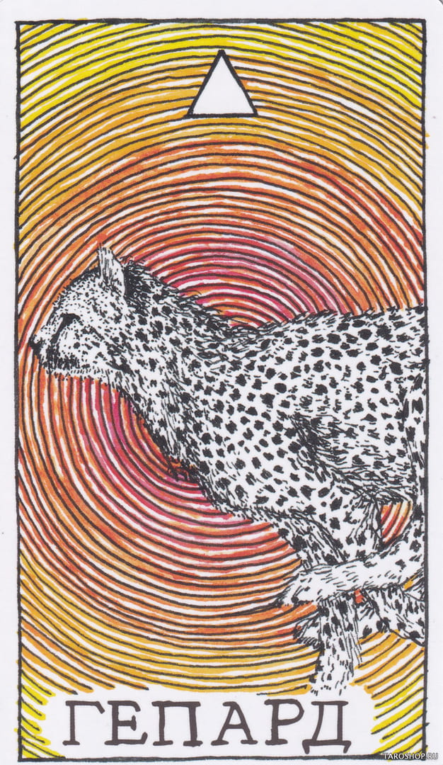 9 Гепард (Огонь) — Дикое Неизвестное Тотемное Животное
