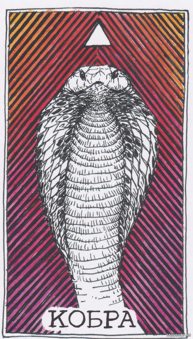 11 Кобра (Огонь)