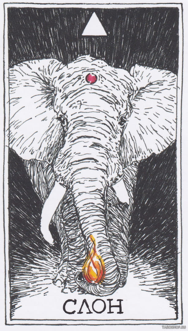 14 Слон (Огонь)