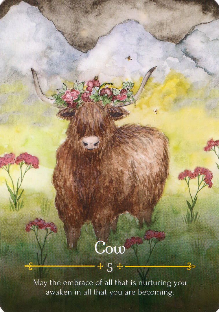 Корова — Оракул Белтейн