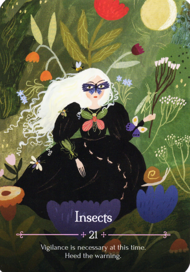 21. Насекомые