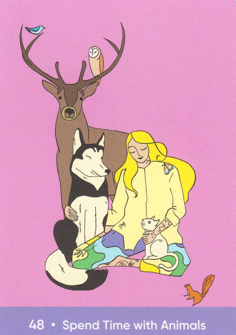 Проведите время с животными