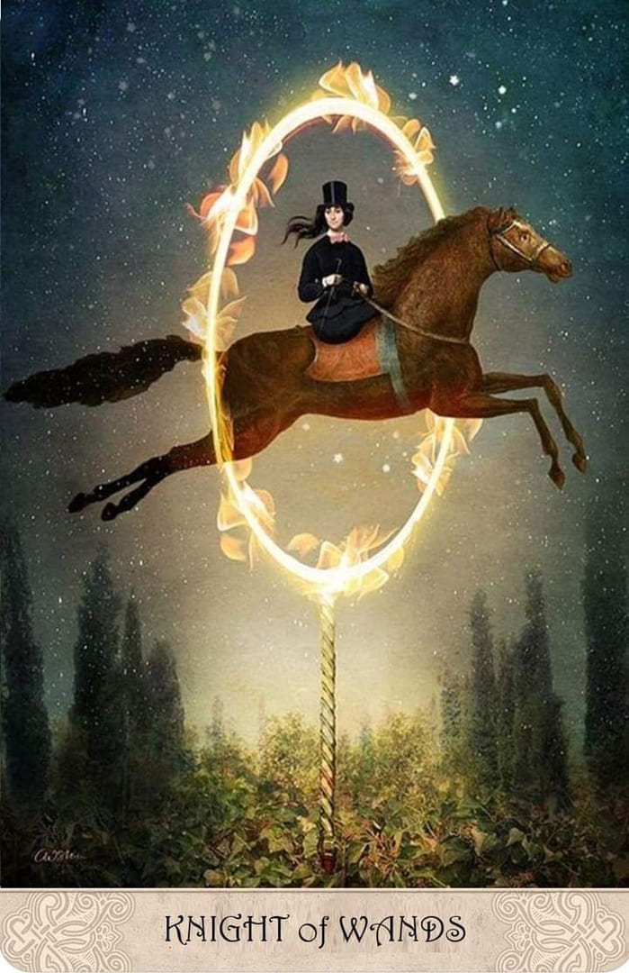 Рыцарь жезлов