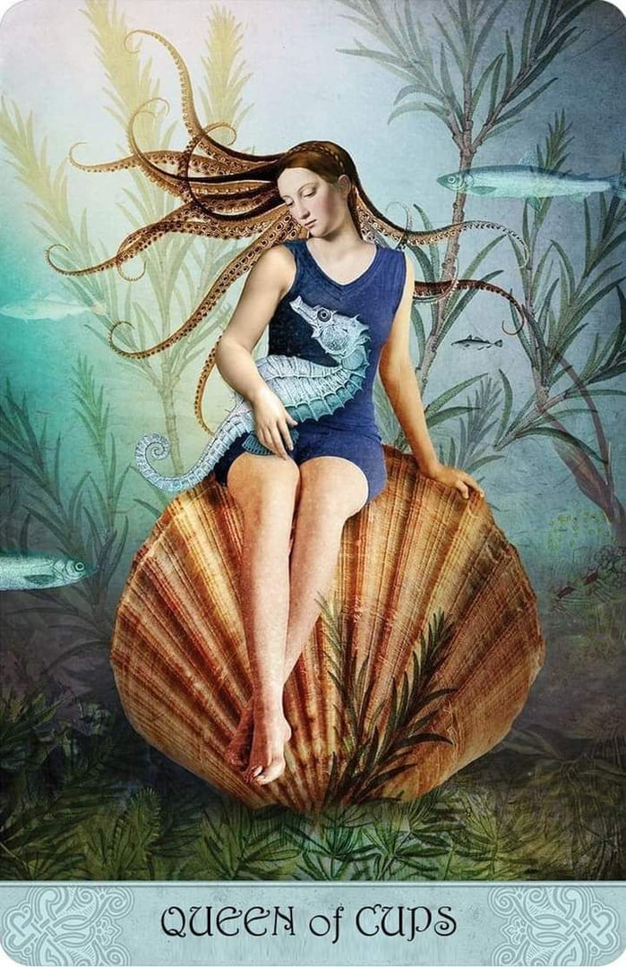 Королева чаш