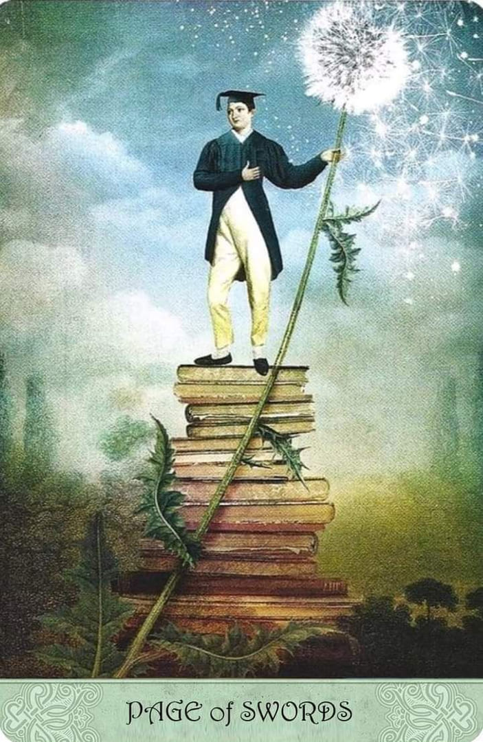 Паж мечей — Таро Мистических Моментов