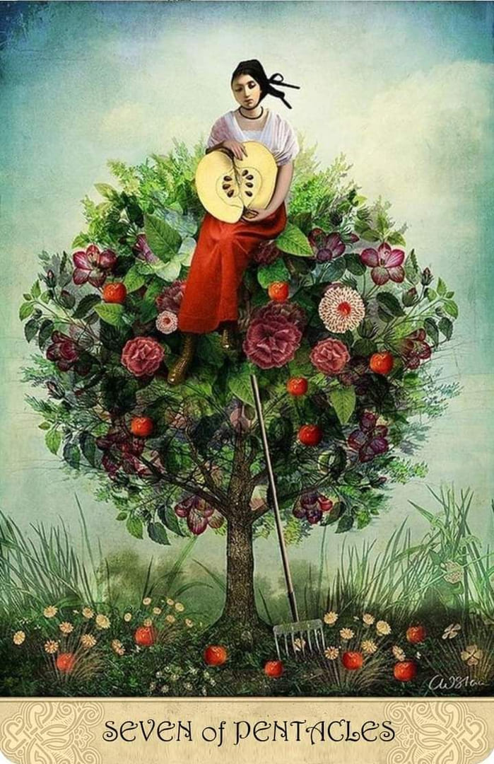 Семёрка пентаклей — Таро Мистических Моментов