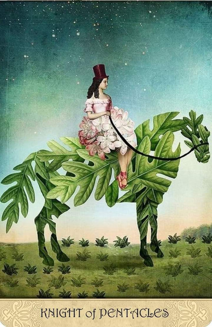 Рыцарь пентаклей