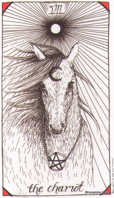 Колесница — Дикое Неизвестное Таро