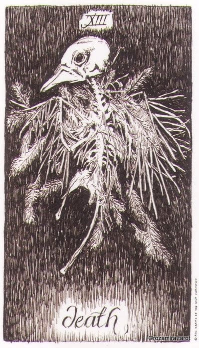 Смерть — Дикое Неизвестное Таро