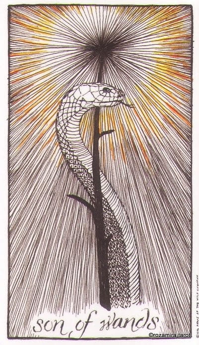 Рыцарь жезлов