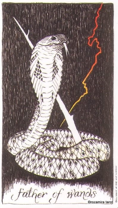 Король жезлов — Дикое Неизвестное Таро