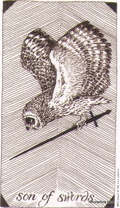 Рыцарь мечей — Дикое Неизвестное Таро