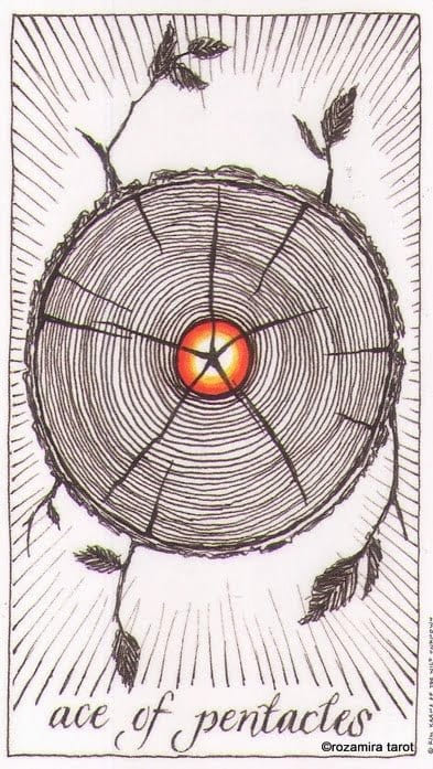 Туз пентаклей — Дикое Неизвестное Таро