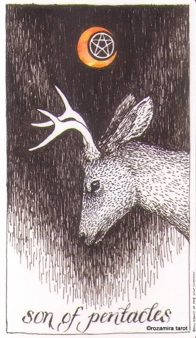 Рыцарь пентаклей