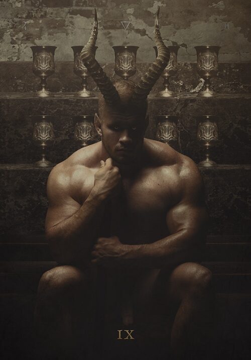 Девятка чаш