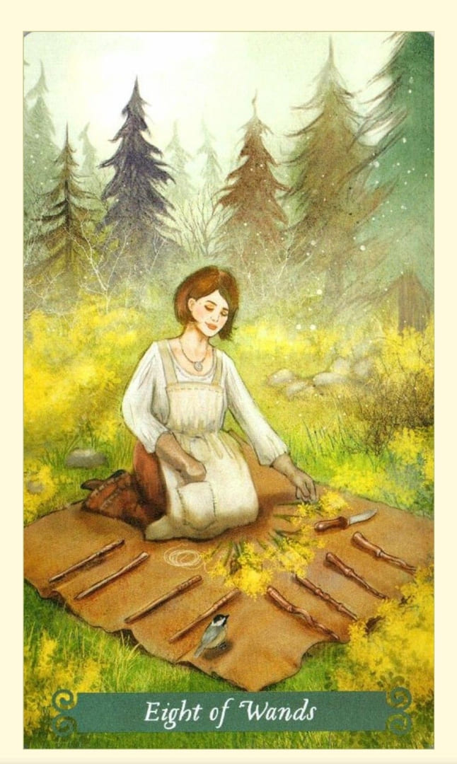 Восьмёрка жезлов