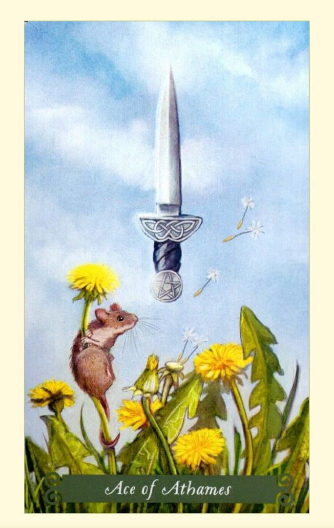 Туз мечей — Таро Зелёной Ведьмы