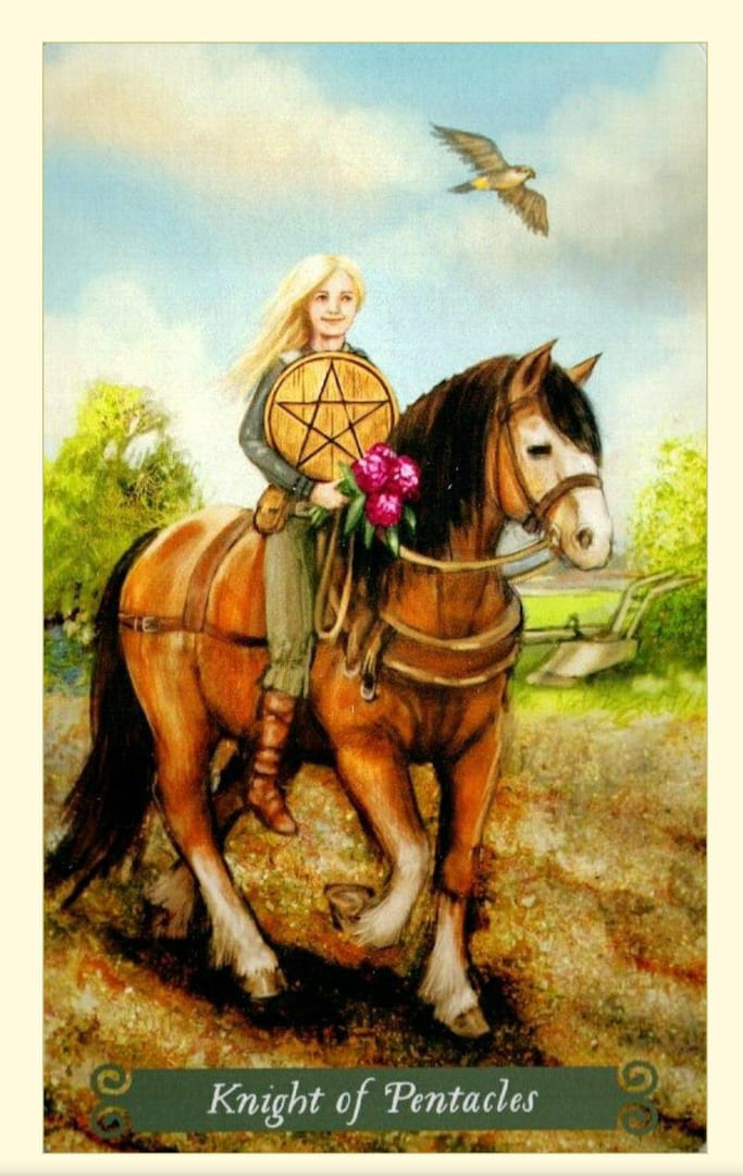 Рыцарь пентаклей
