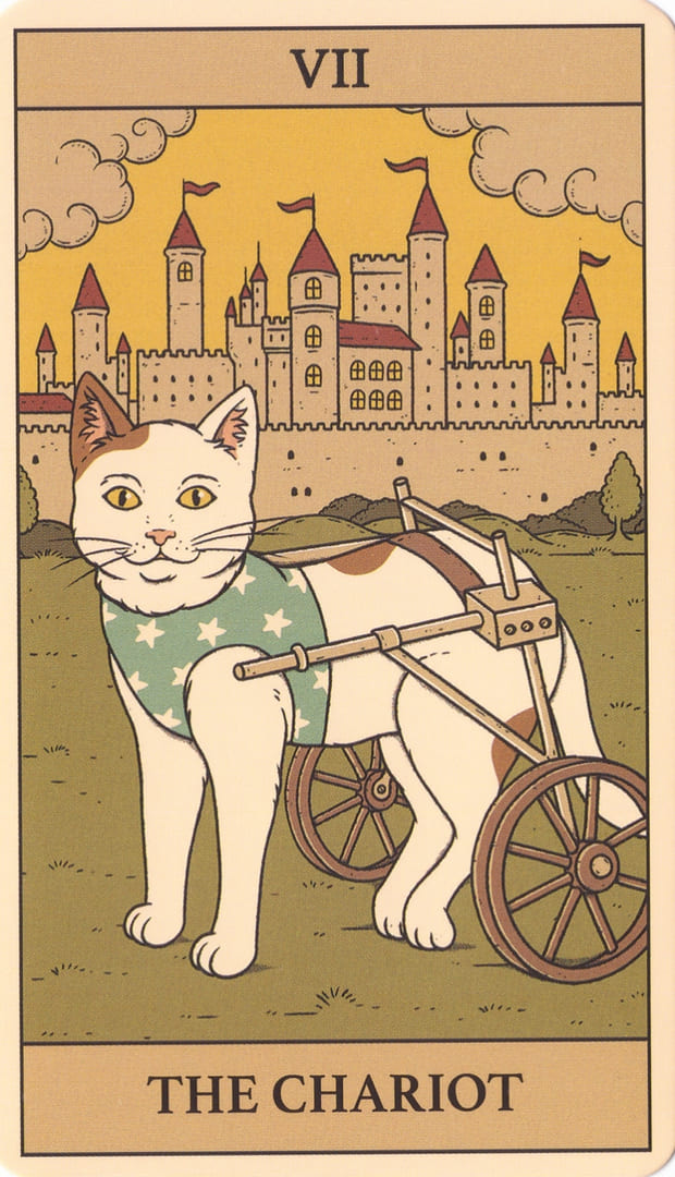 Колесница — Cats Rule the Earth Tarot