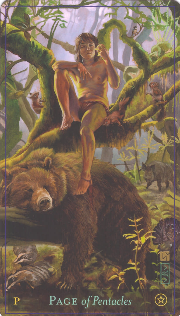 Паж пентаклей