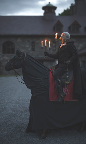 Рыцарь жезлов