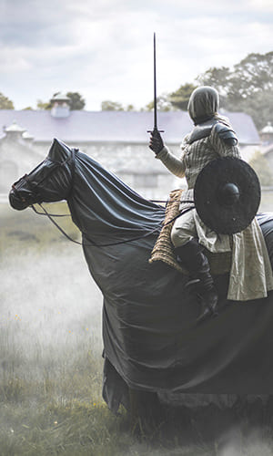 Рыцарь мечей