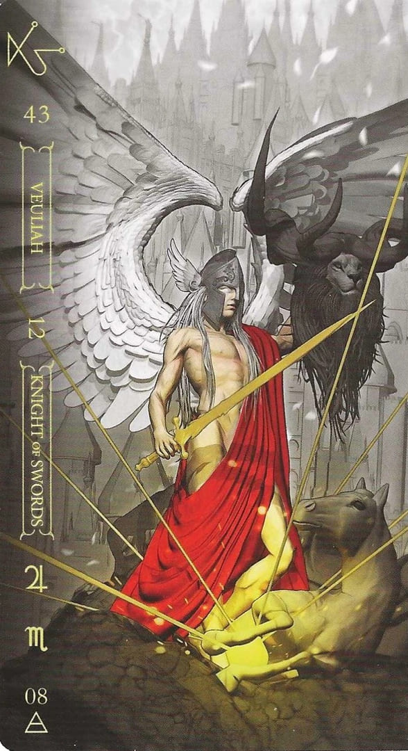 Рыцарь мечей