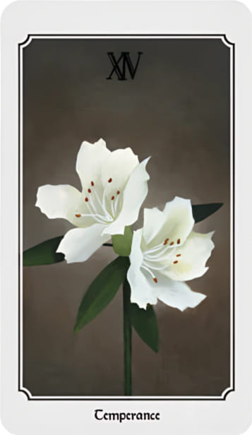 Умеренность — Таро Анима Мунди