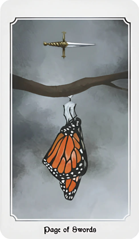 Паж мечей — Таро Анима Мунди