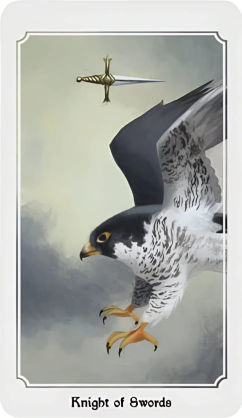 Рыцарь мечей