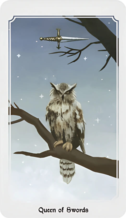 Королева мечей — Таро Анима Мунди