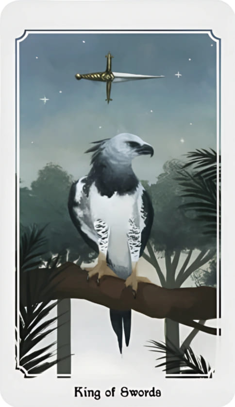 Король мечей — Таро Анима Мунди