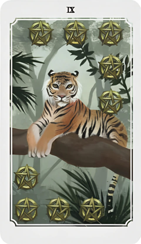 Девятка пентаклей — Таро Анима Мунди