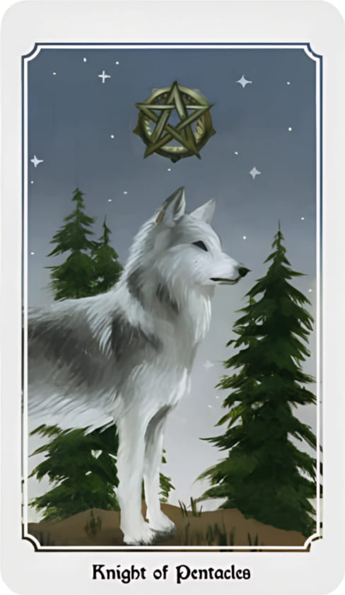 Рыцарь пентаклей