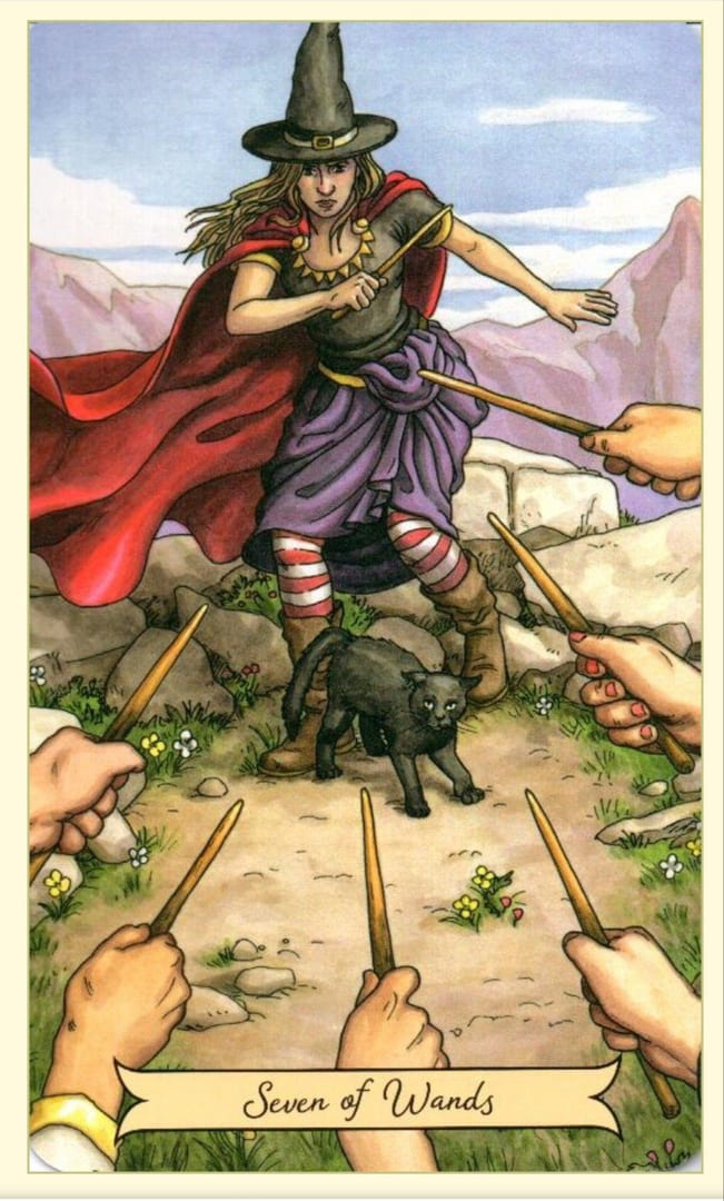 Семёрка жезлов — Everyday Witch Tarot
