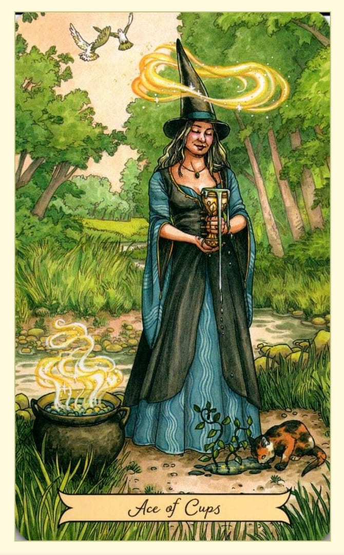 Туз чаш — Everyday Witch Tarot