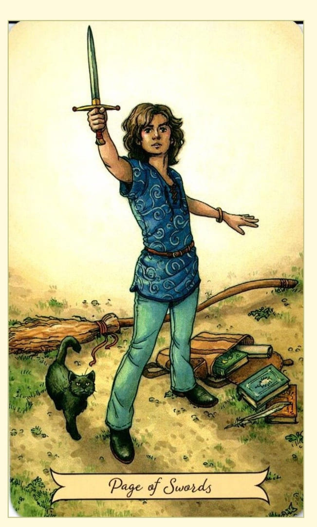 Паж мечей — Everyday Witch Tarot