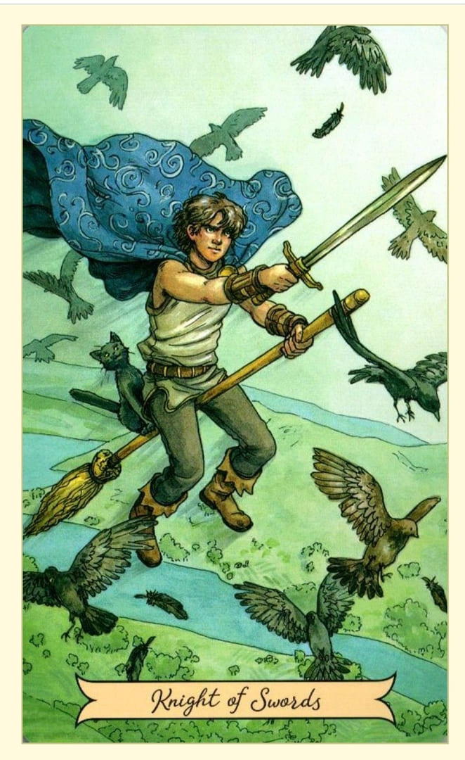 Рыцарь мечей